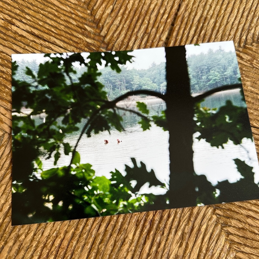 5x7 Fine Art Print - Walden Pond - 35mm Film